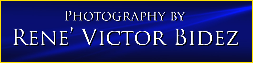 photography banner